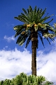teneriffa-la-laguna