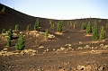 teneriffa-teide-008